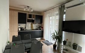 Rakowicka Apartment - City Center